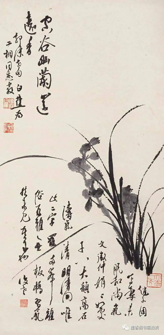 白蕉蘭花冊