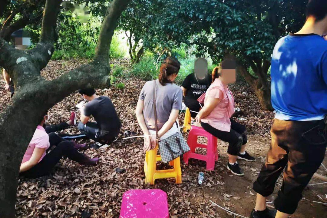 从化白田岗涉黄场所抓捕现场曝光,10人涉黄被当场带走!_警方