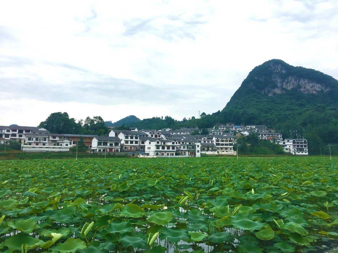 普定水井村两规一约绘就乡村振兴美丽画卷