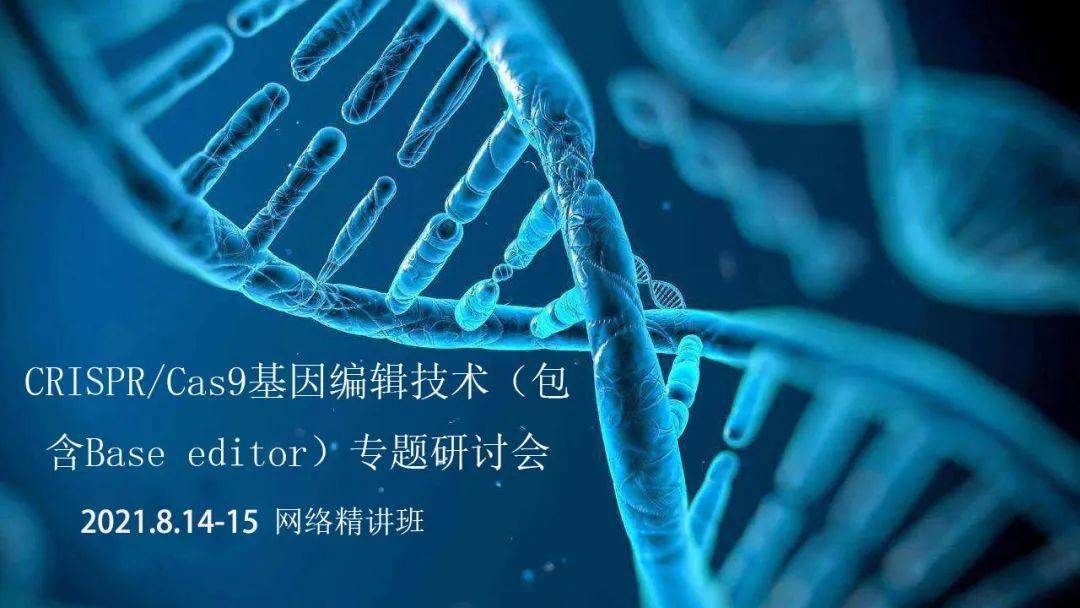 crispr/cas9基因编辑技术(包含base editor)专题研讨会(8.14-15 网络