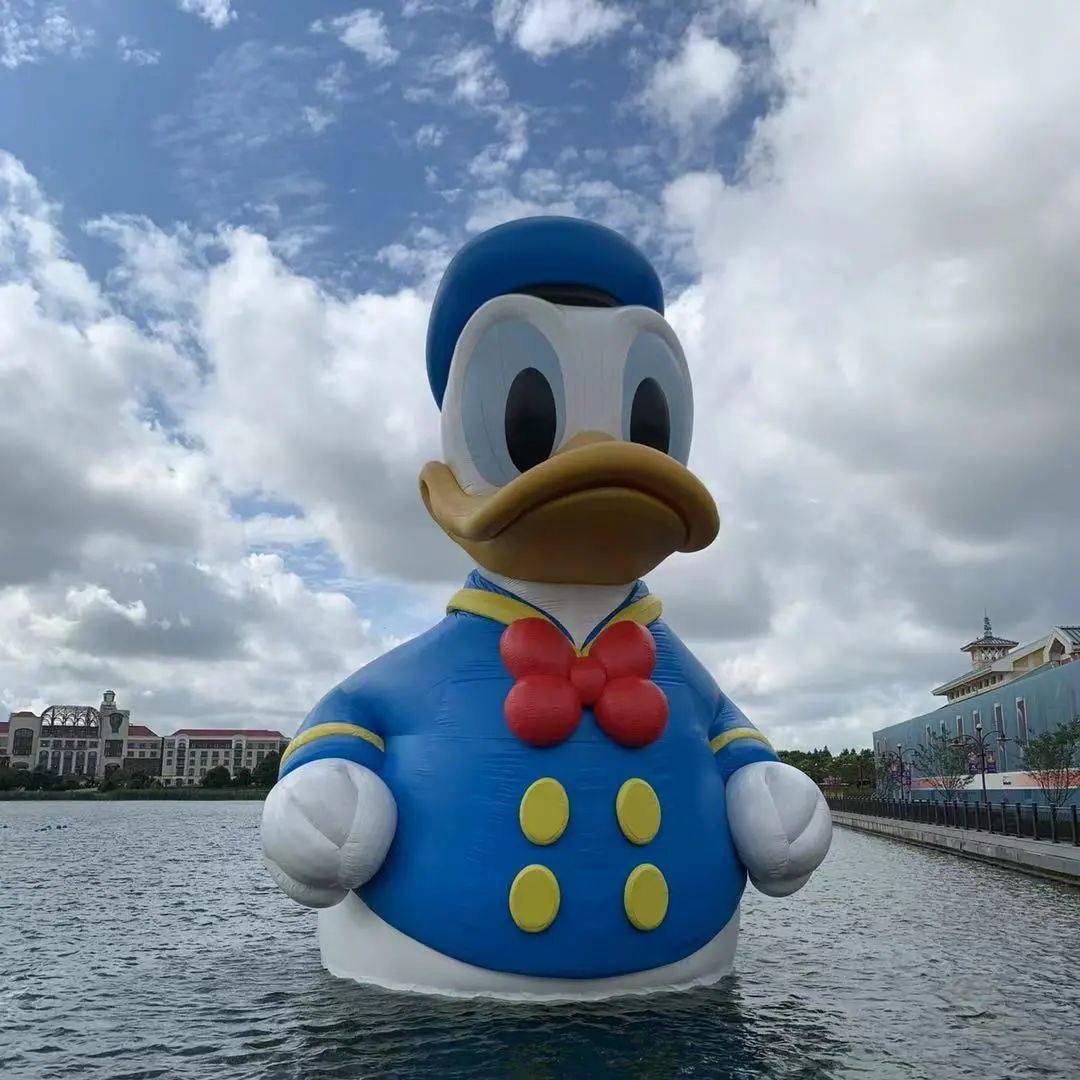 游起来 #就是趁热浓郁的生日气氛湖上的"鸭鸭"都要忍不住想到岸上来啦