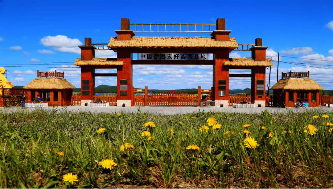 伊春友好蓝莓基地是目前全国最大的蓝莓连片种植基地.