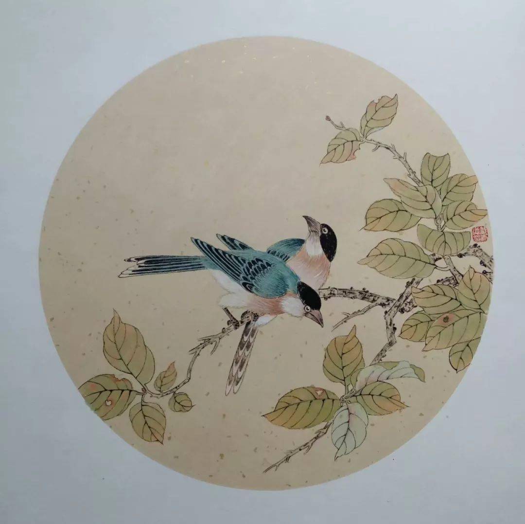 花鸟小品50幅,清新动人!_国画