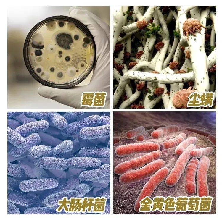 说个冷知识,你家地板可能比马桶还脏._细菌