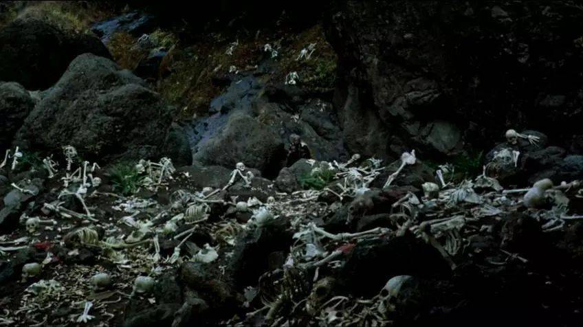 只有乌鸦游走于腐尸碎骨,呱呱的叫声残酷又无比凄凉.