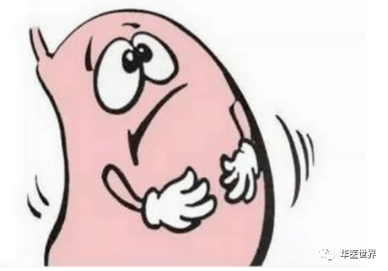 苔薄黄说明体内有邪热, 寒热错杂, 脾气虚弱, 符合半夏泻心汤胃脘胀满