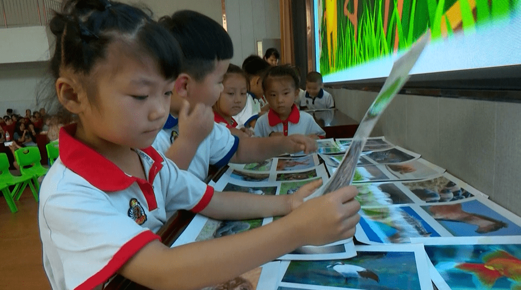 教育|郓城380余名幼儿园教师集体“进修”