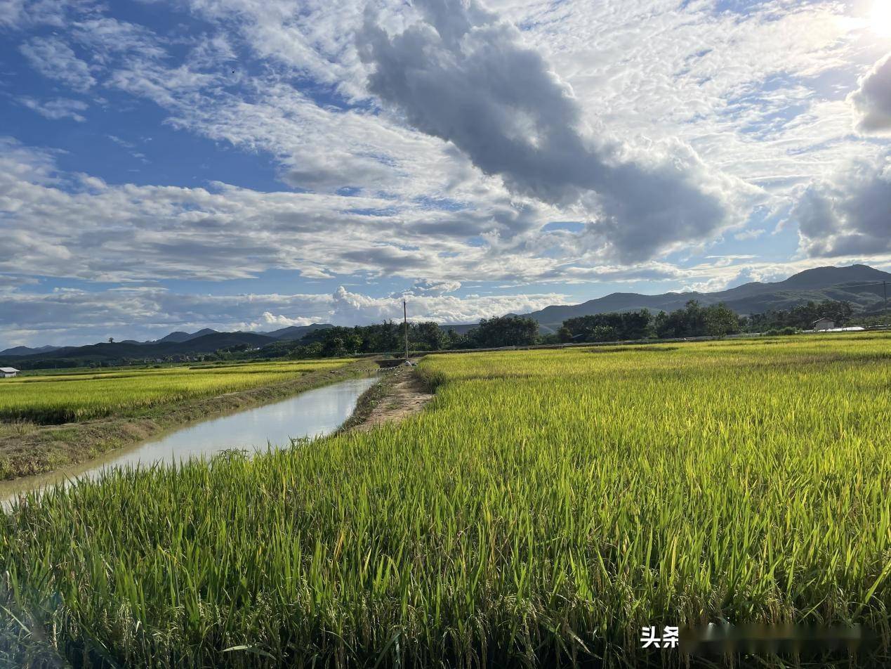 雲南景洪曼遠村千年古寨最美鄉愁