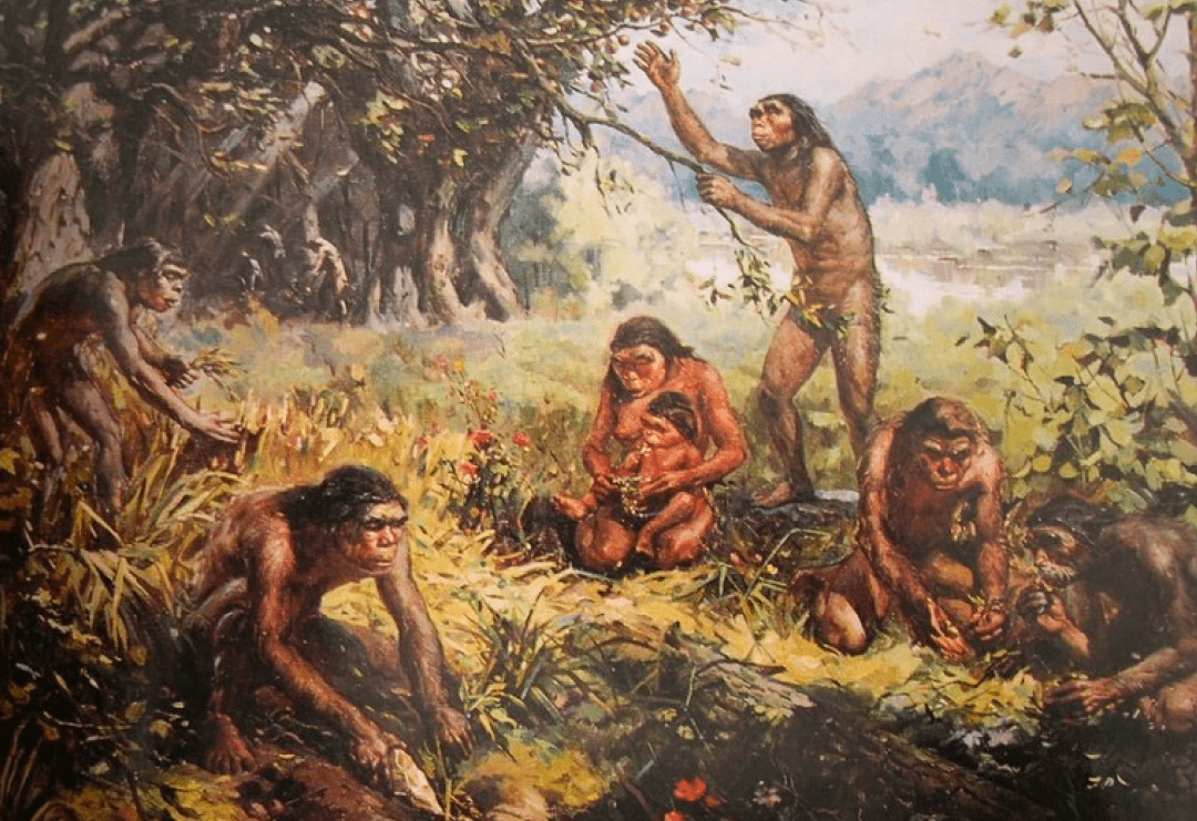 古代猿人生活照片图片