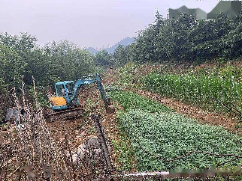 我为创城加一分 绿化带里 垦地 坚决取缔 街道