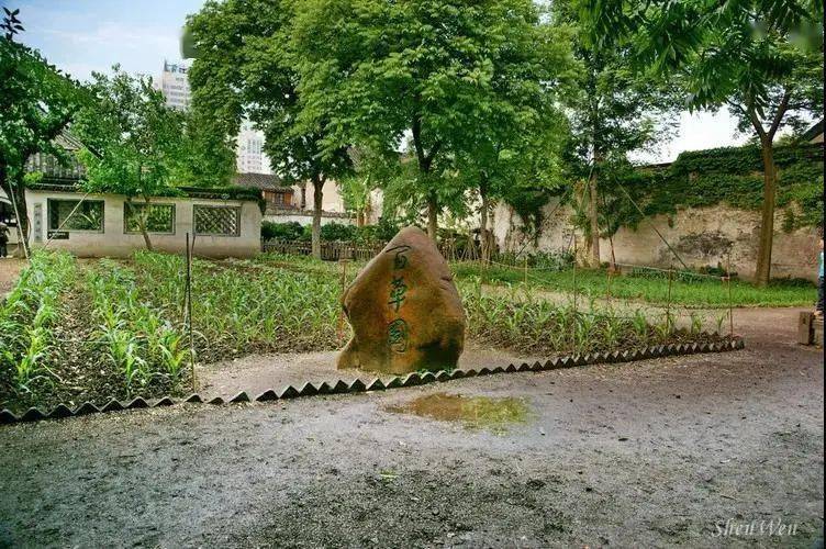 从三味书屋到百草园,跟着课本游鲁迅故居鲁迅故居跟着课本游4,通过