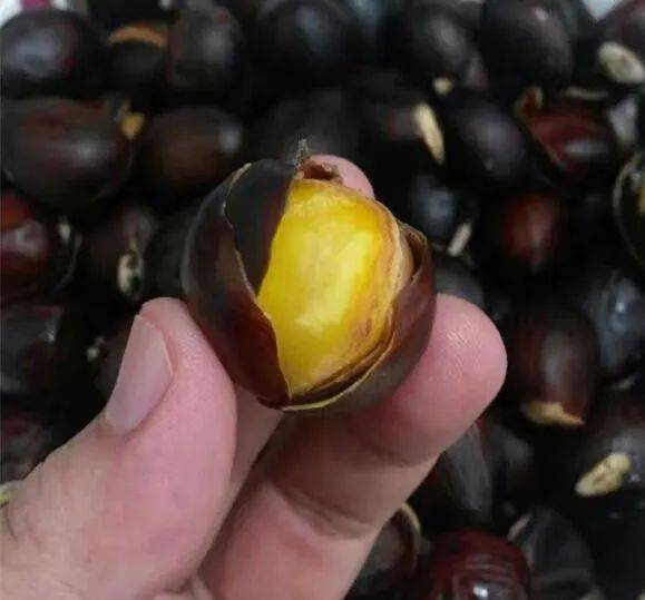 南沙经常能见的频婆竟卖到几十蚊一斤网友煲糖水一流