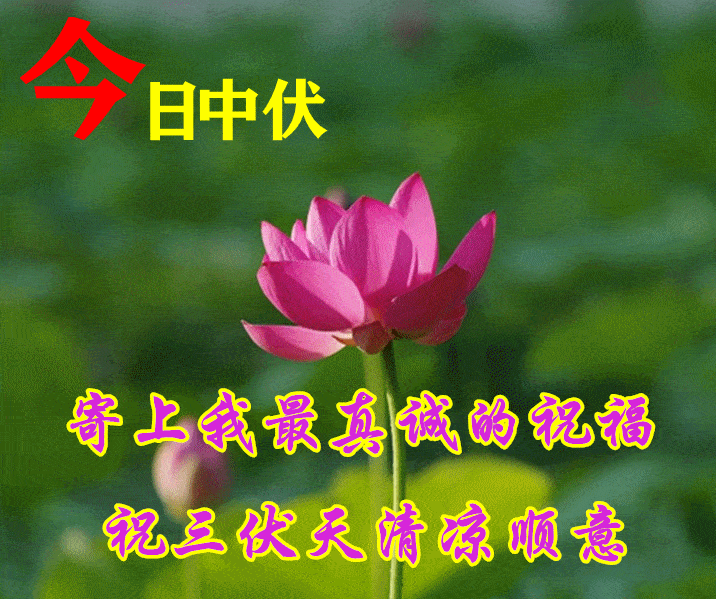 7月21日中伏最漂亮早上好动态表情图片大全,早晨好动图美图大全_祝福