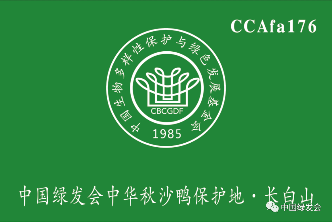 绿会保护地添新成员 Ccafa176 绿会中华秋沙鸭保护地 长白山 科学研究院