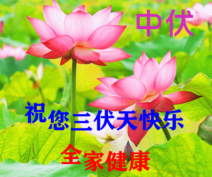 7月21日中伏最漂亮早上好动态表情图片大全,早晨好动图美图大全_祝福