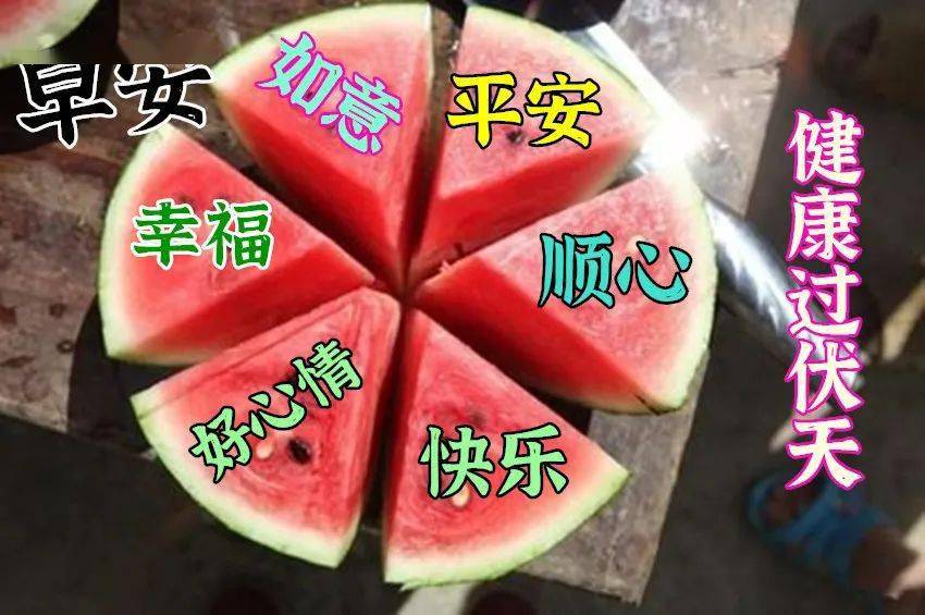 三伏天,以阳光为伴,当一回"晒客",晒晒工作,保你节节高;晒晒运气,保你