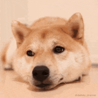 为什么有些人会"动耳神功",有些人却不行?_耳朵