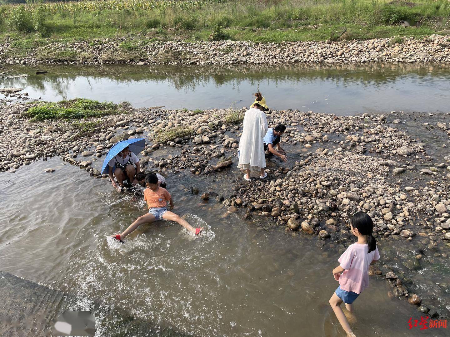 东坡区|水深十几米！四川眉山这处“网红玩水地”很危险，请勿前往