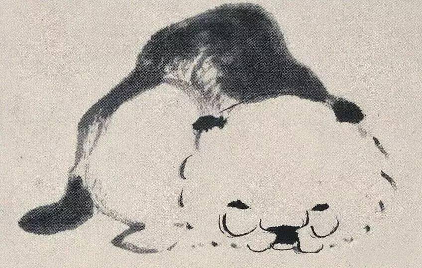 八大山人画的这些猫,你见过吗?