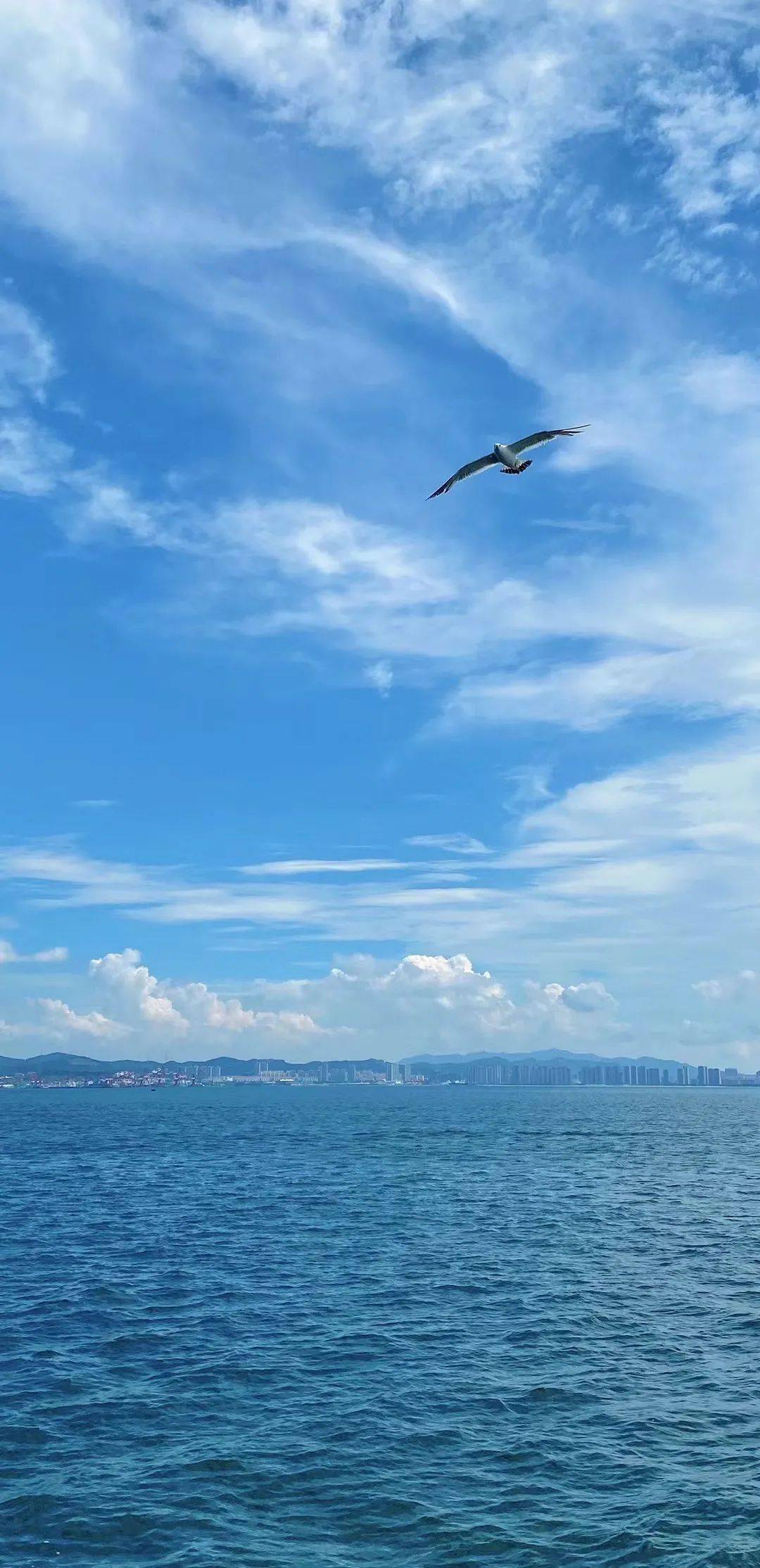 曬藍天丨碧海藍天白雲飄這就是不一樣的威海藍