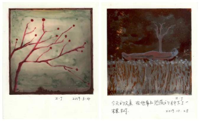 问题|“选择”摄影奖（第一届）揭晓 | 张兰坡：作品的核心生命