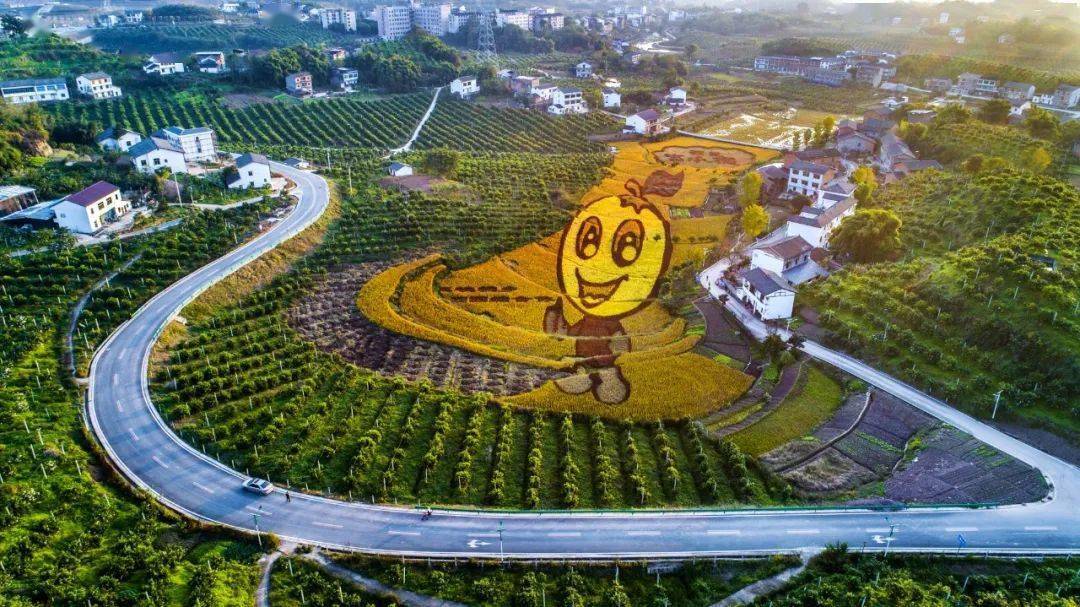 乡村振兴看示范双柏村田园风光美橘香溢满园