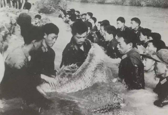 上图解放军用身体堵截水坝决口041991年长江流域洪涝,华东水灾1991年