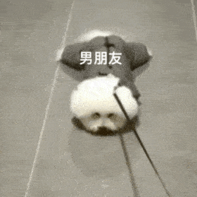 可爱搞笑的聊天表情包