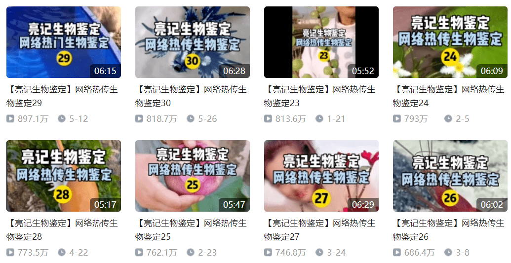 就因為這隻藏狐, 全世界的水猴子都快滅絕了 科技 第5張