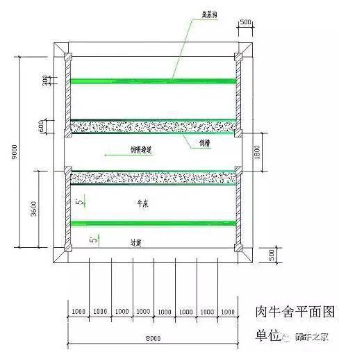 50头牛牛舍建造图图片