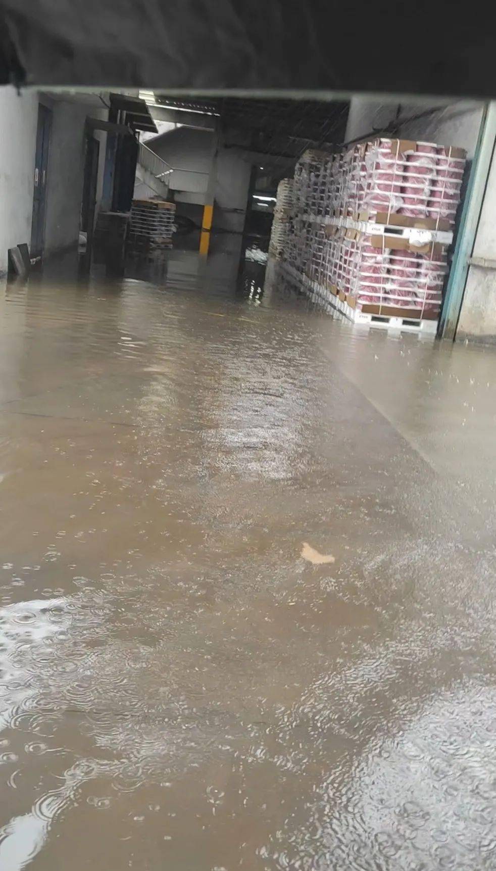 暴雨,台风轮番"轰炸"!浙江多地纺织工厂水淹严重,被迫停工停产!