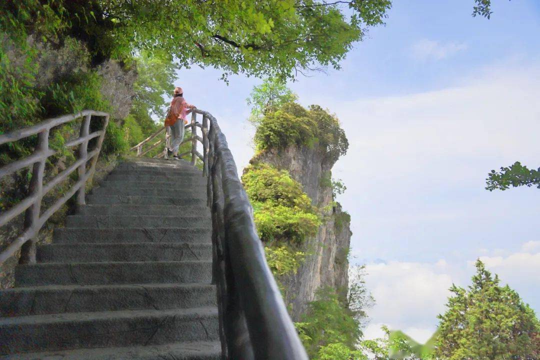 诗歌汉中万敏杰,汉中市诗歌研究会顾问,文化学者《汉中教育》执行