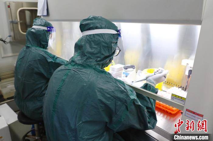 人员|抗疫“尖刀连”：22人连轴转 24小时近万份核酸报告这样“抢”出