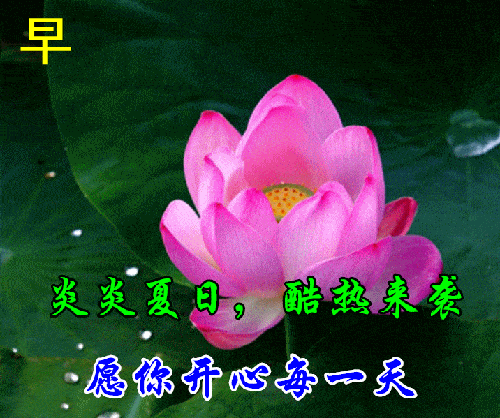 716_599gif 动态图 动图