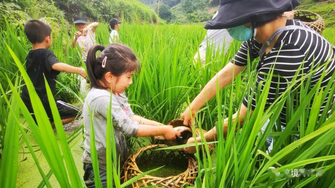 关注丹寨县清江苗寨传统农耕文化引来京沪亲子研学团