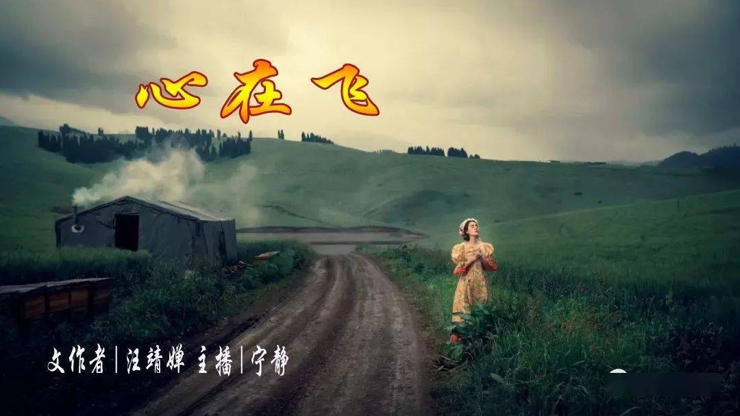 汪靖婵| 心在飞