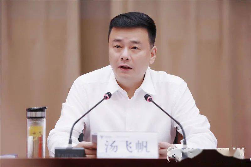 市委书记汤飞帆代表市委常委会,向全会作工作报告.