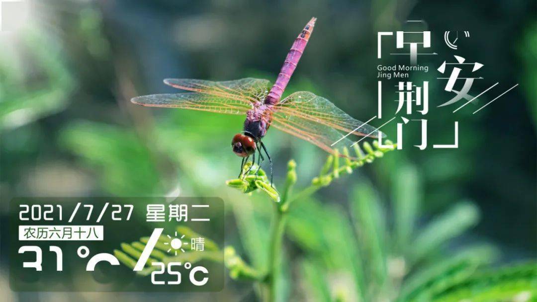 今天是2021年7月27日,星期二,农历六月十八.