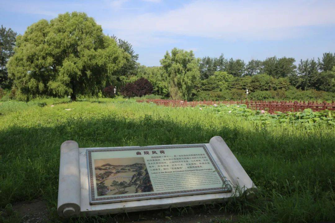 圆明园里的曲院风荷您来过吗