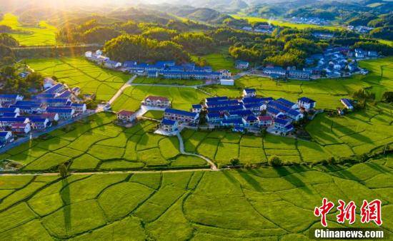 乡村|【沿着高速看中国】航拍江西乡村夏日田园 公路交错风光秀美