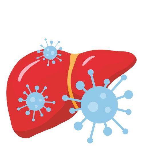 罪魁祸首|我国80%肝癌背后的罪魁祸首，一个办法就能有效预防