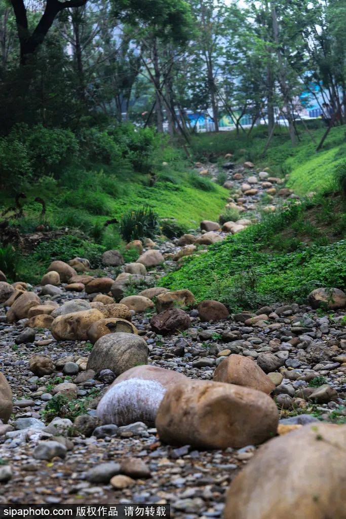 湿地景观|全部免费！炎炎夏日漫步城市绿洲，领略都市风情，就在咱家门口~