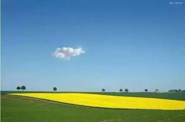 624baaf71c934ddf80e601df0741fd42.jpeg