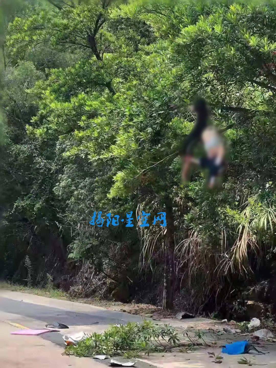 惨烈!潮汕某地车祸,一女子被撞飞倒挂在树上