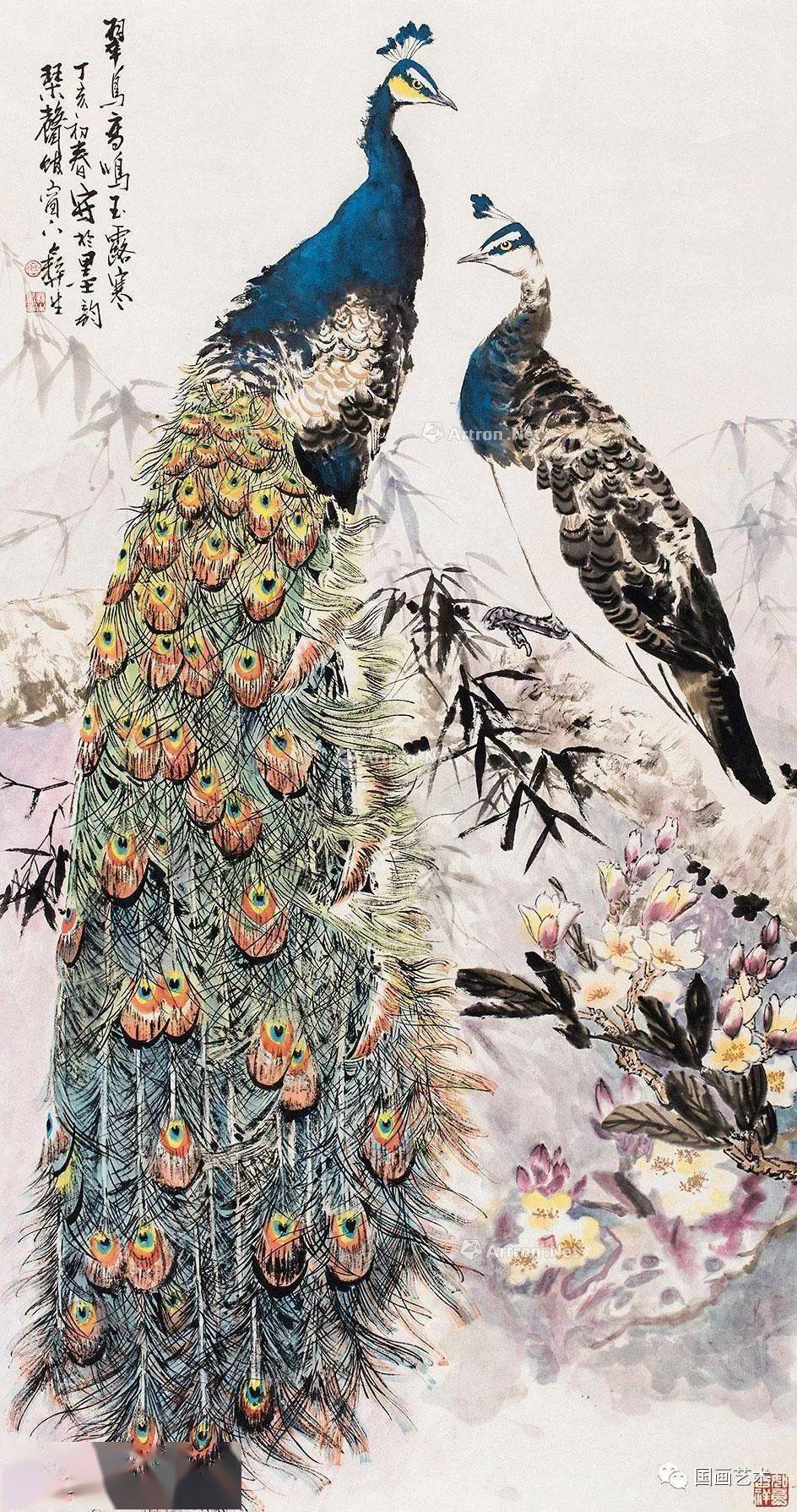 他画的孔雀太美啦!