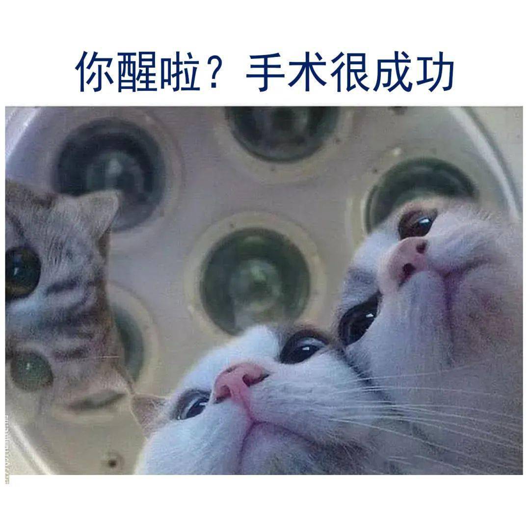 点击空白处查看解说61外科手术中,把皮肤肌肉切开后需要用拉钩将