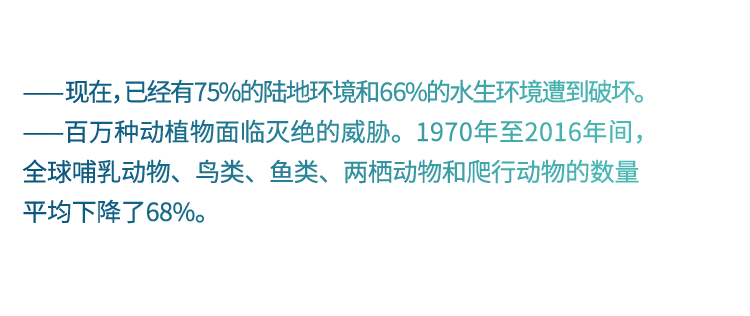 欧莱雅,欧莱雅|今天,物不以稀为贵,物以多为贵。