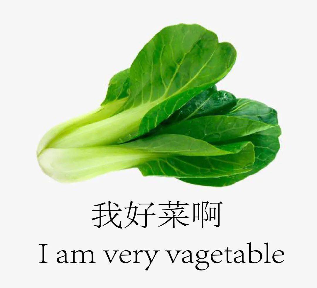 张拉膜来了!swa都在用的su模型!