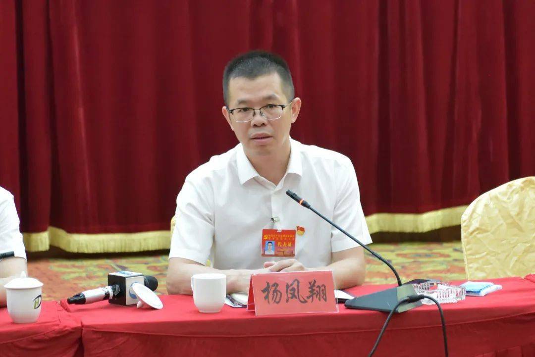 杨凤翔强调,各代表团要结合自身实际发挥作用,扬长避短,切实围绕四届