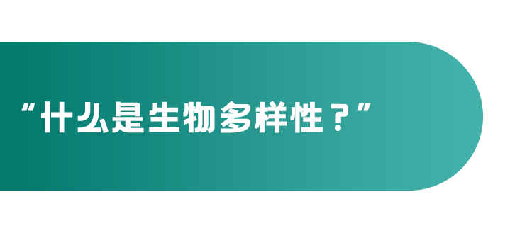 欧莱雅,欧莱雅|今天,物不以稀为贵,物以多为贵。